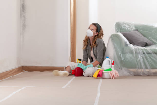 Reliable Mold Remediation contractor in Hanover, MD by WQB Mold Removal